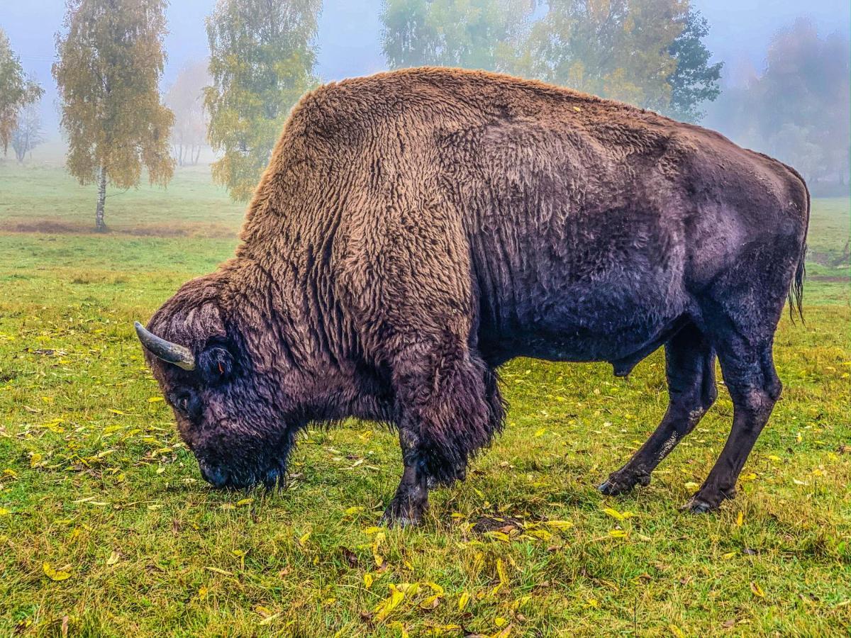 Podhradi Landstejn Slavonice Exterior foto